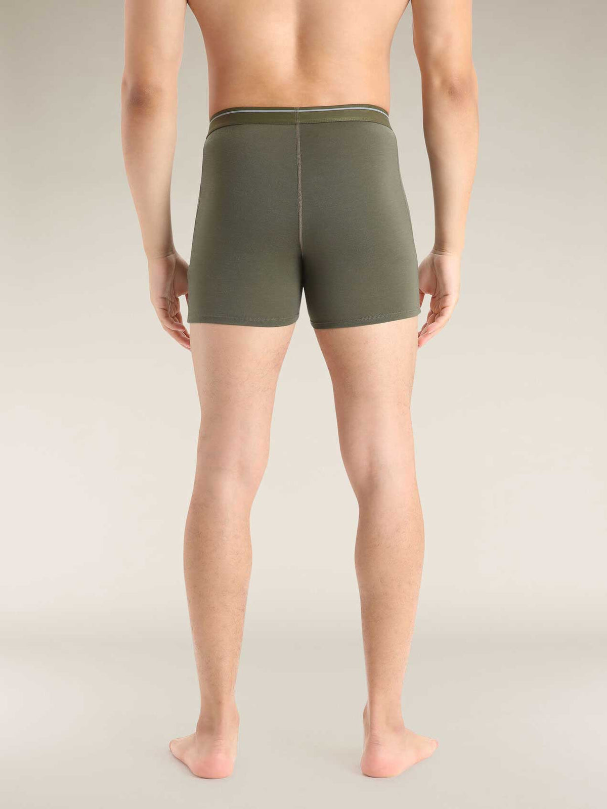 ICEBREAKER Бельо Men Anatomica Boxers