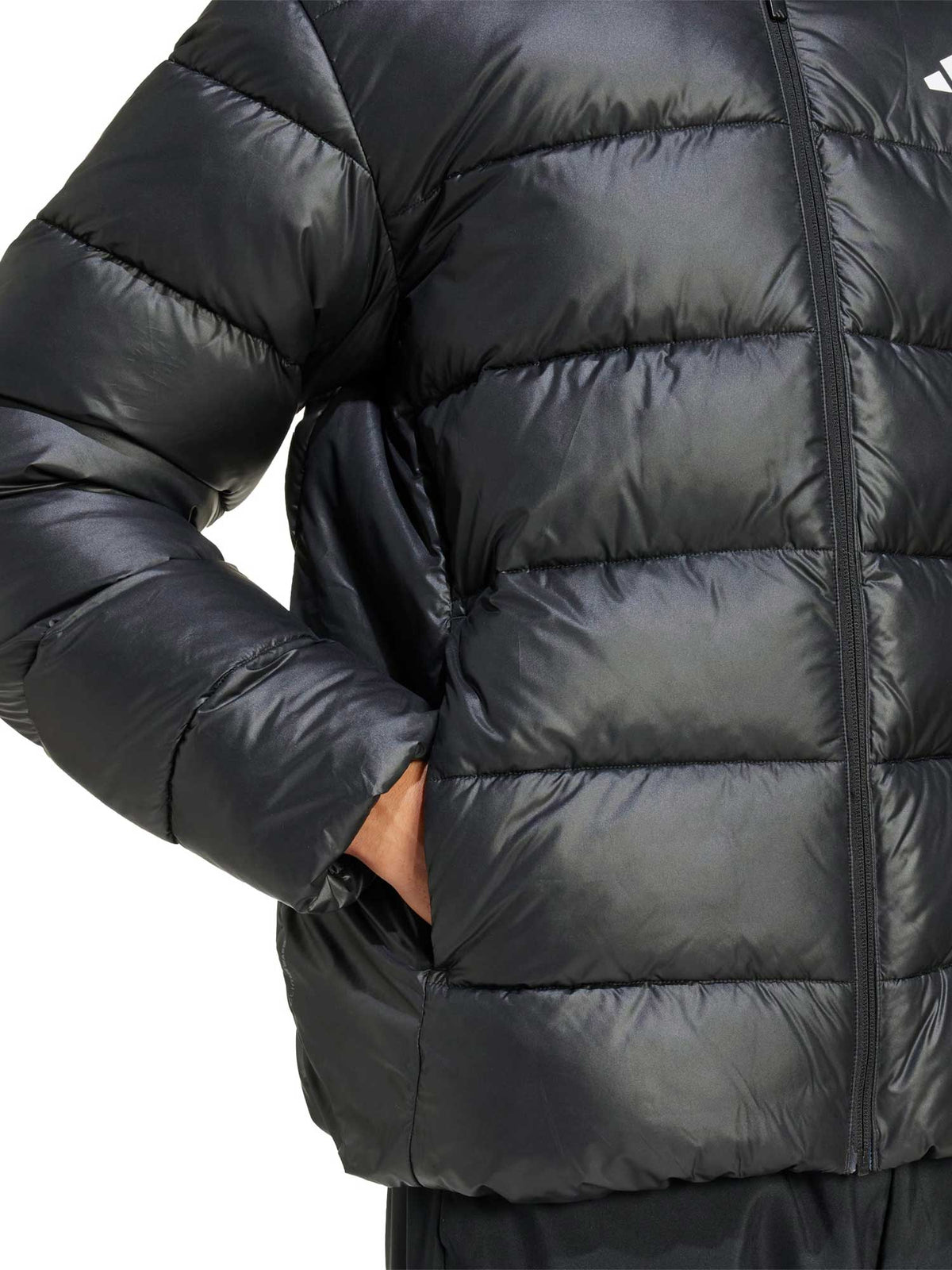 ADIDAS SPORTSWEAR Яке Essentials CLIMAWARM Synthetic Down Jackets