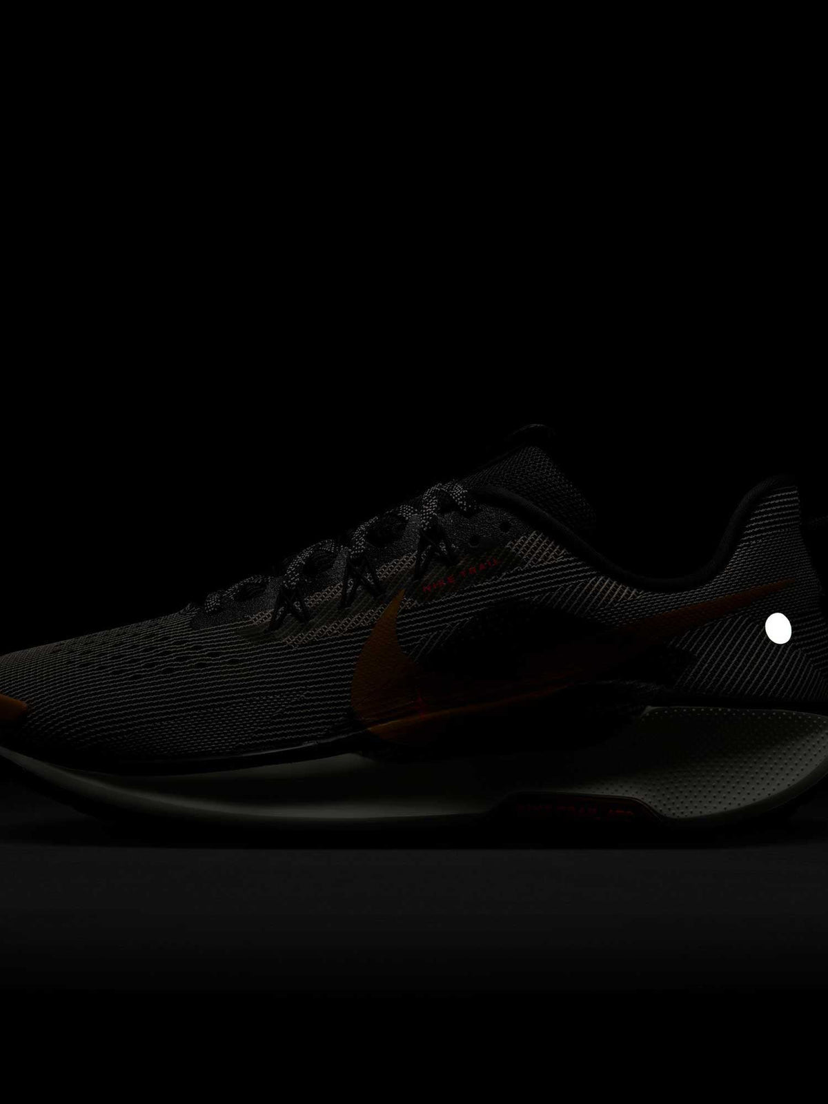NIKE Обувки REACTX PEGASUS TRAIL 5